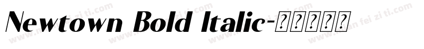 Newtown Bold Italic字体转换